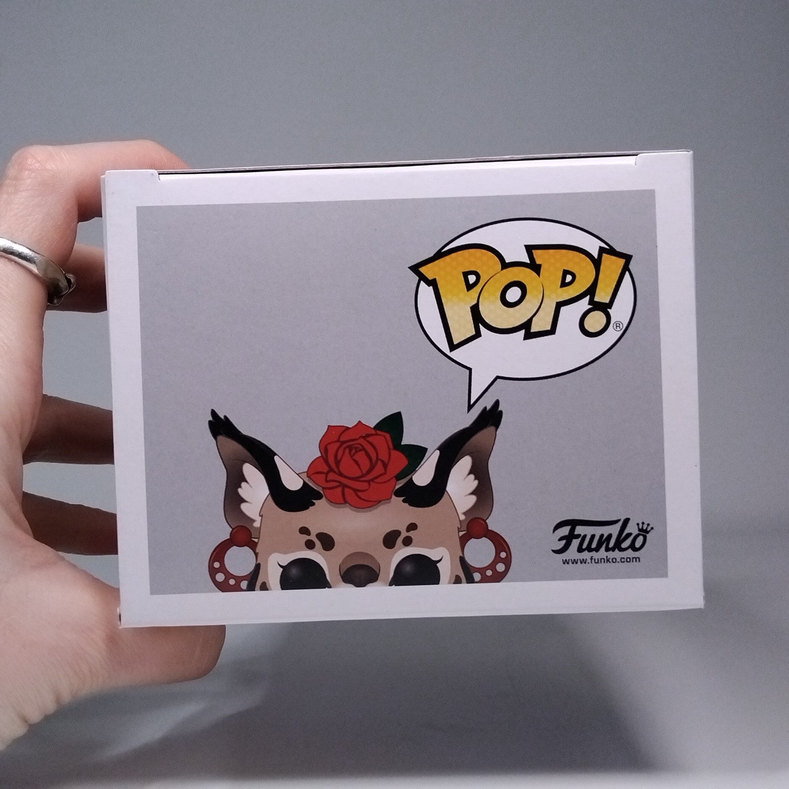 06e200ac-ce66-4cbc-8272-5b5e856960d2