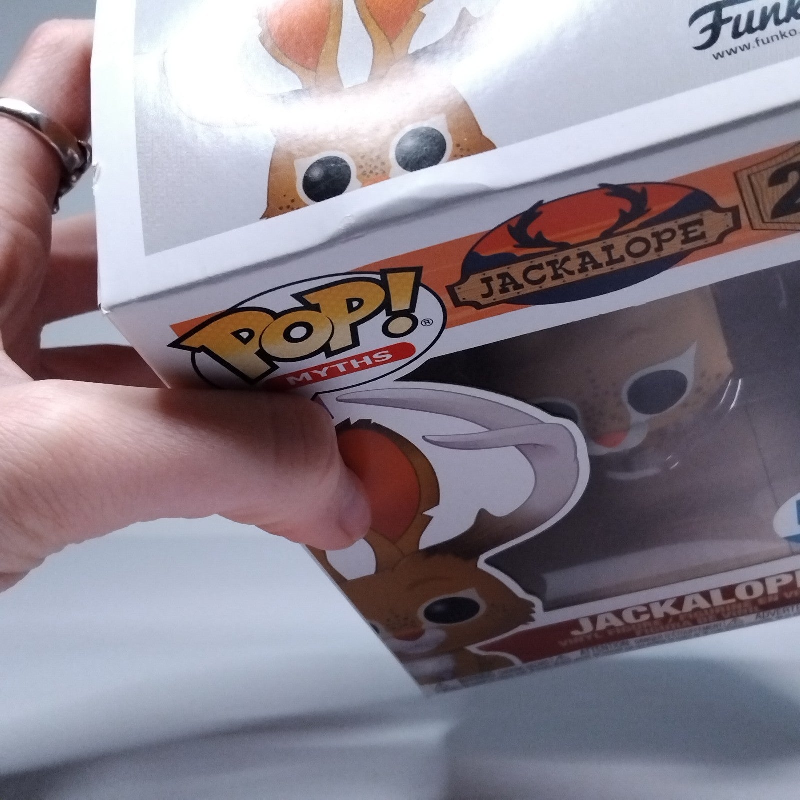 5f163e52-46f8-47ee-9a48-98a2ee475ce1