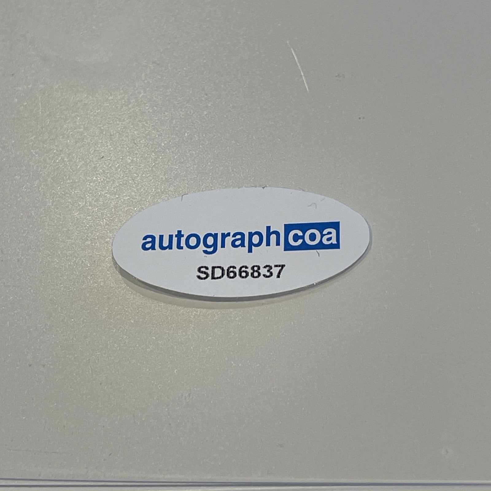 75185e24-db28-4ad2-8603-01a83fb9a8da