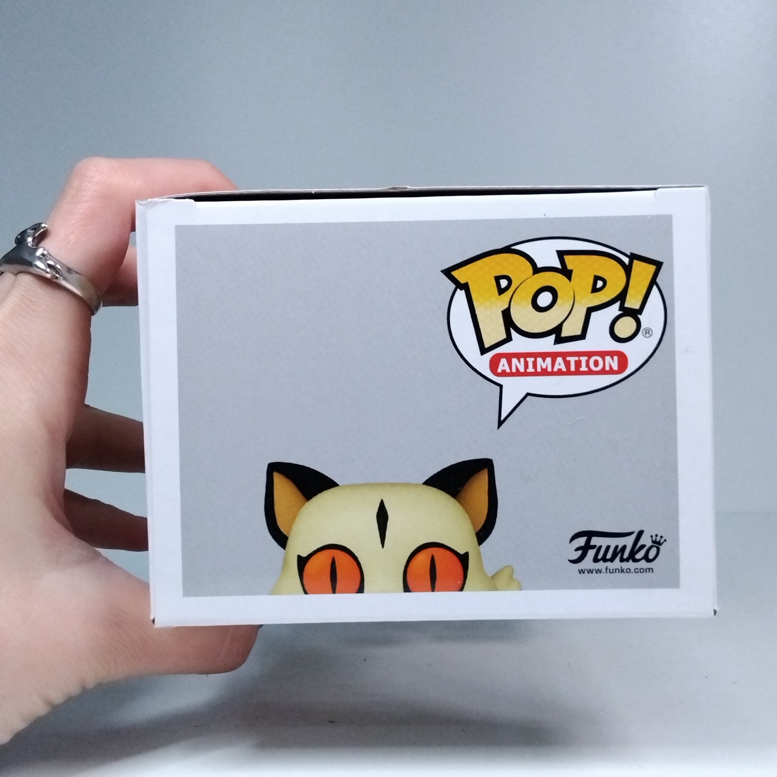 913fd91e-bf4f-4fd0-8f2e-4e31f15c3ff4