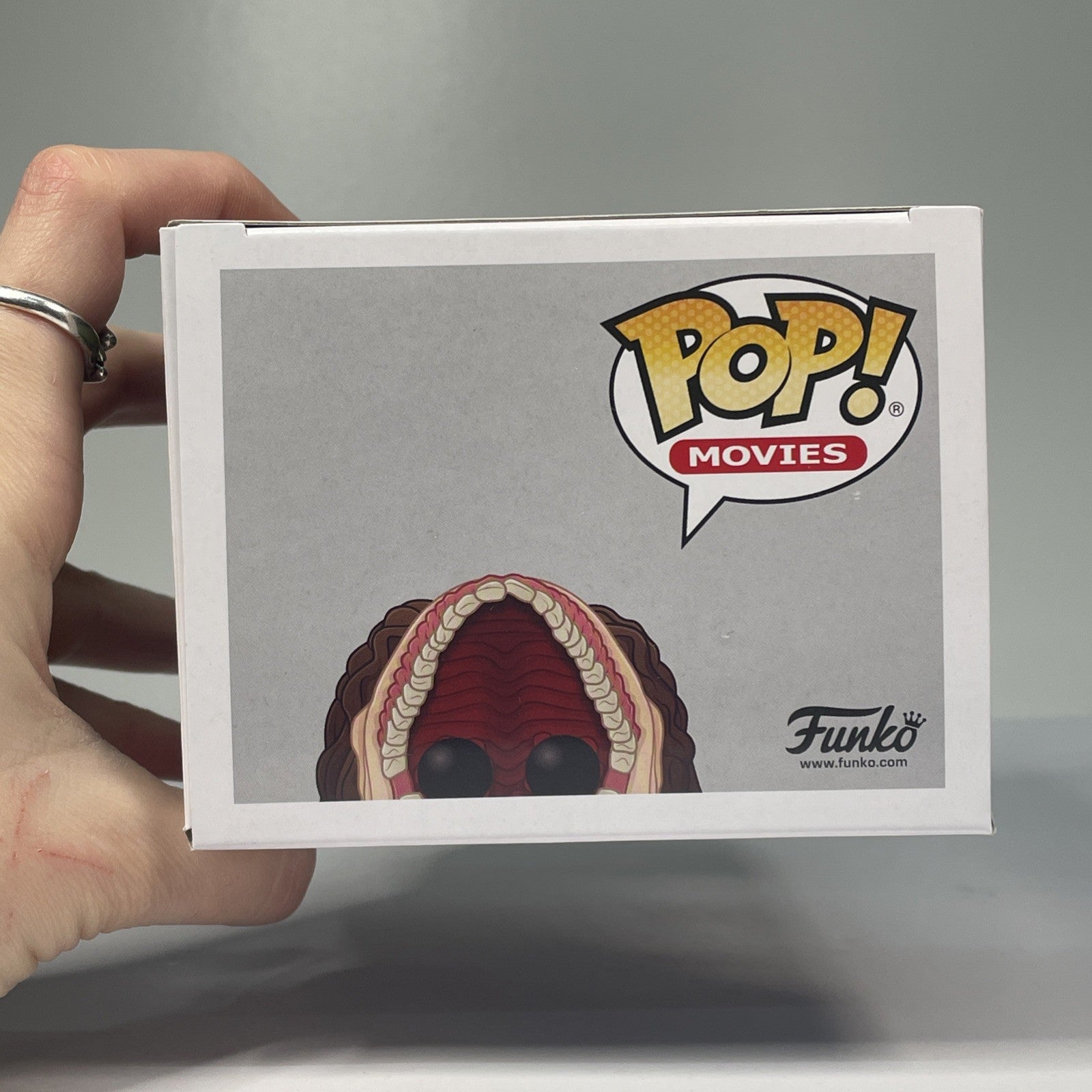 0bf19319-4f6e-4805-95f8-cdc87a0c7f8c