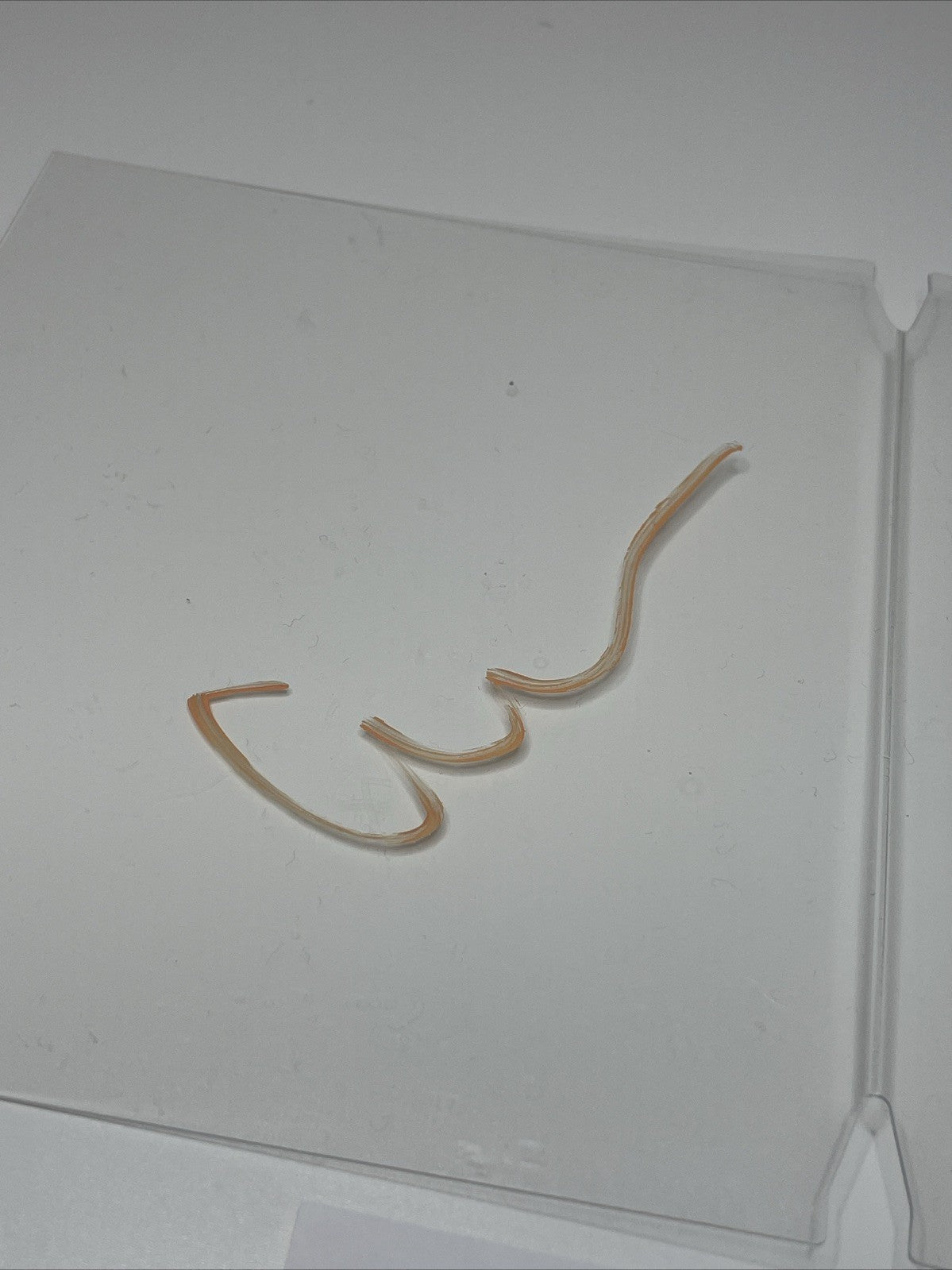 3bb94115-a204-4005-9da6-ff583226f074