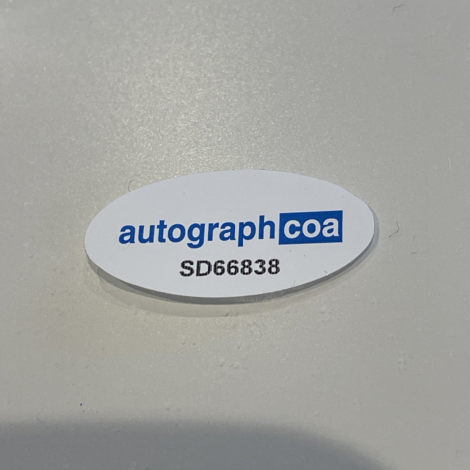 7cb391da-2665-4c4e-b4b8-fd6c8e9e713b