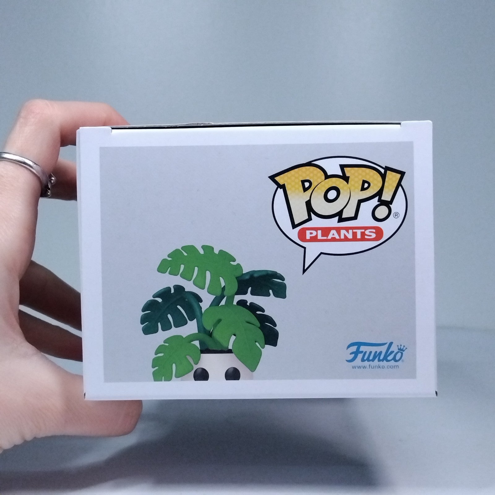 c2a37983-0a11-4e7f-b26b-9fe7f5dd2282