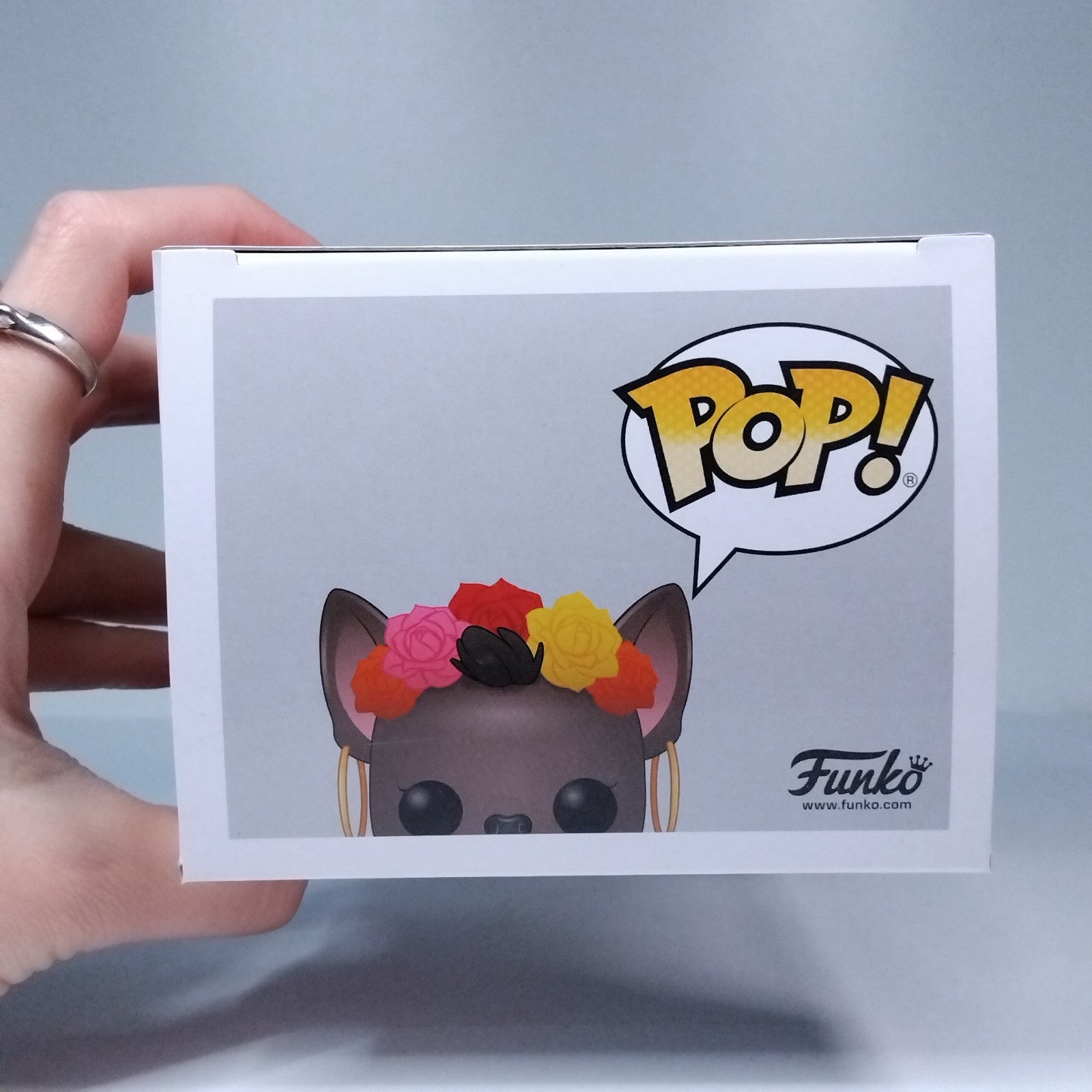 5ccd1422-f9b3-4afc-a3c7-7518f816902e