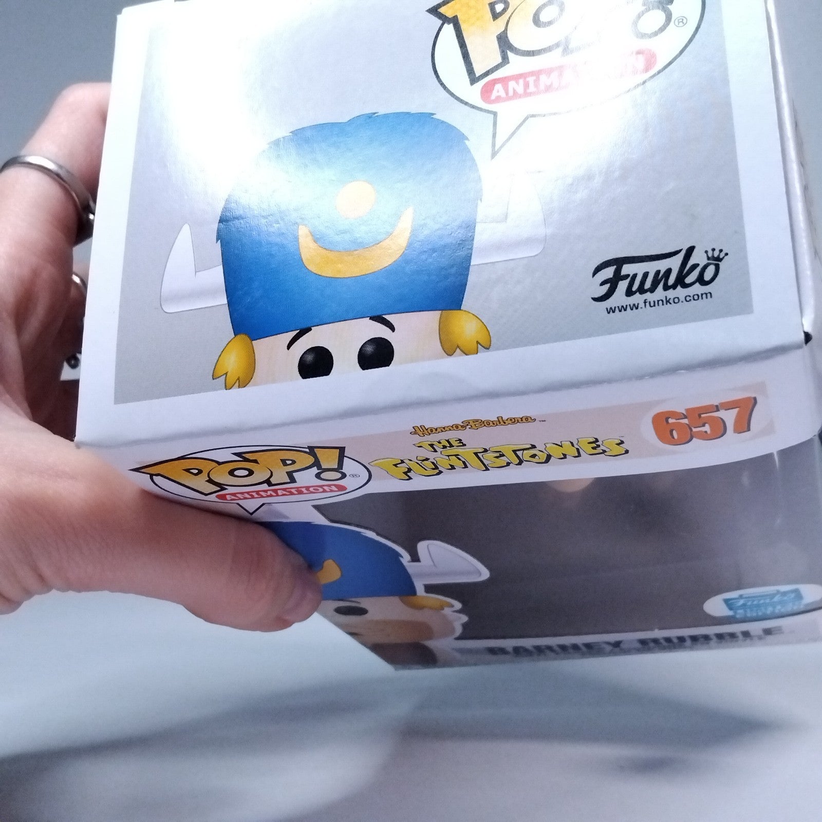 fc0fbc56-cbcb-4215-914d-eafe641fbf6f