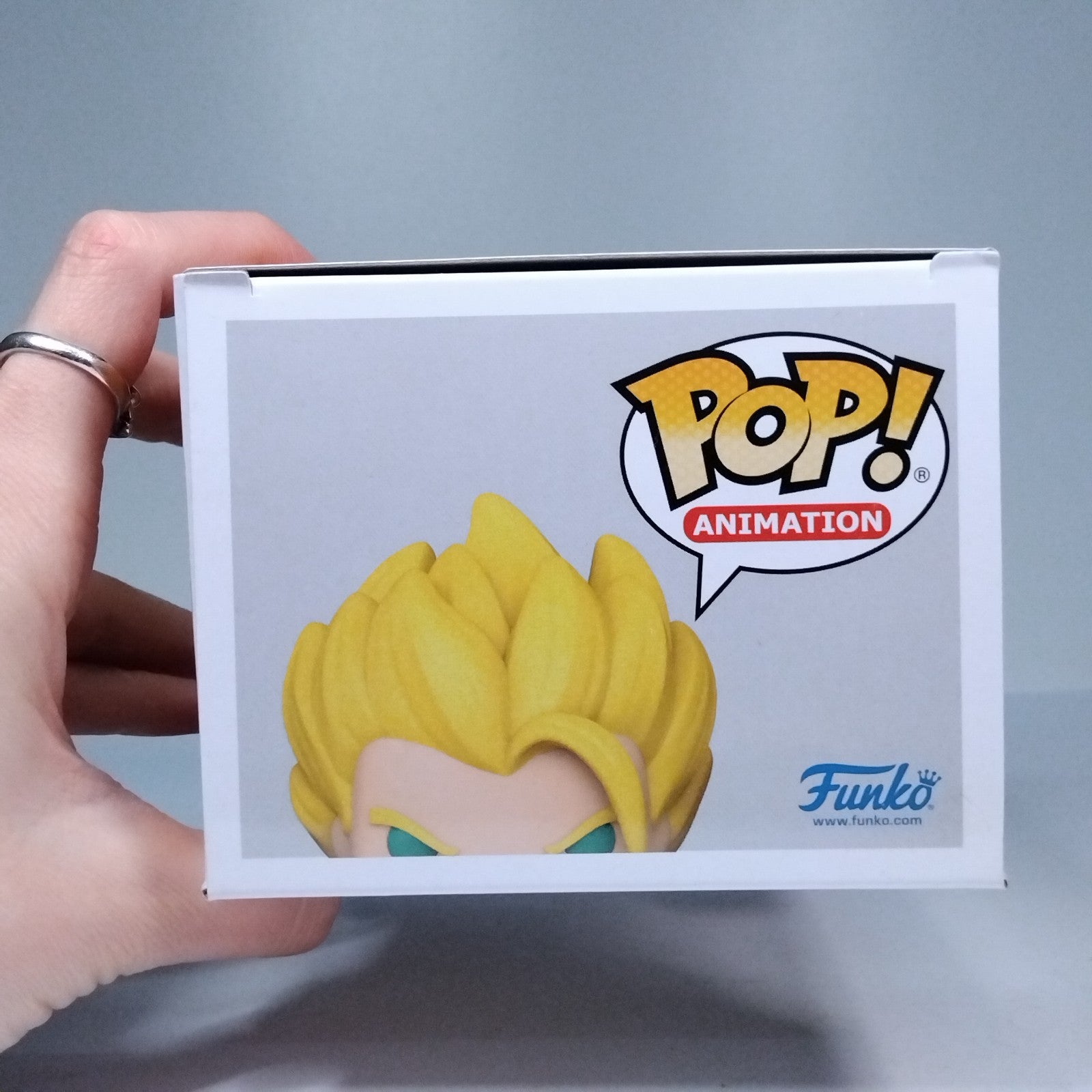 e96af9cb-fbb1-45bd-b0ff-89990e3a94ea