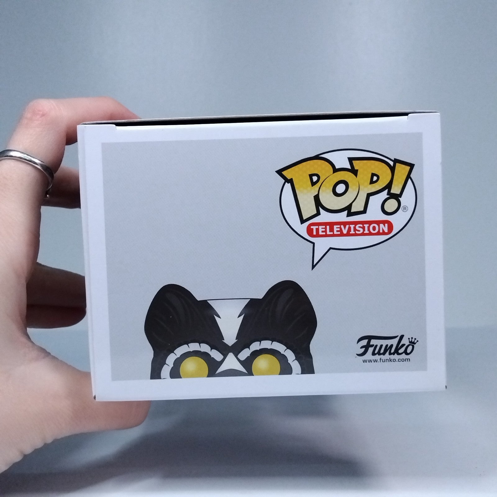 91072f6d-b72d-4d94-8607-241331c7799d