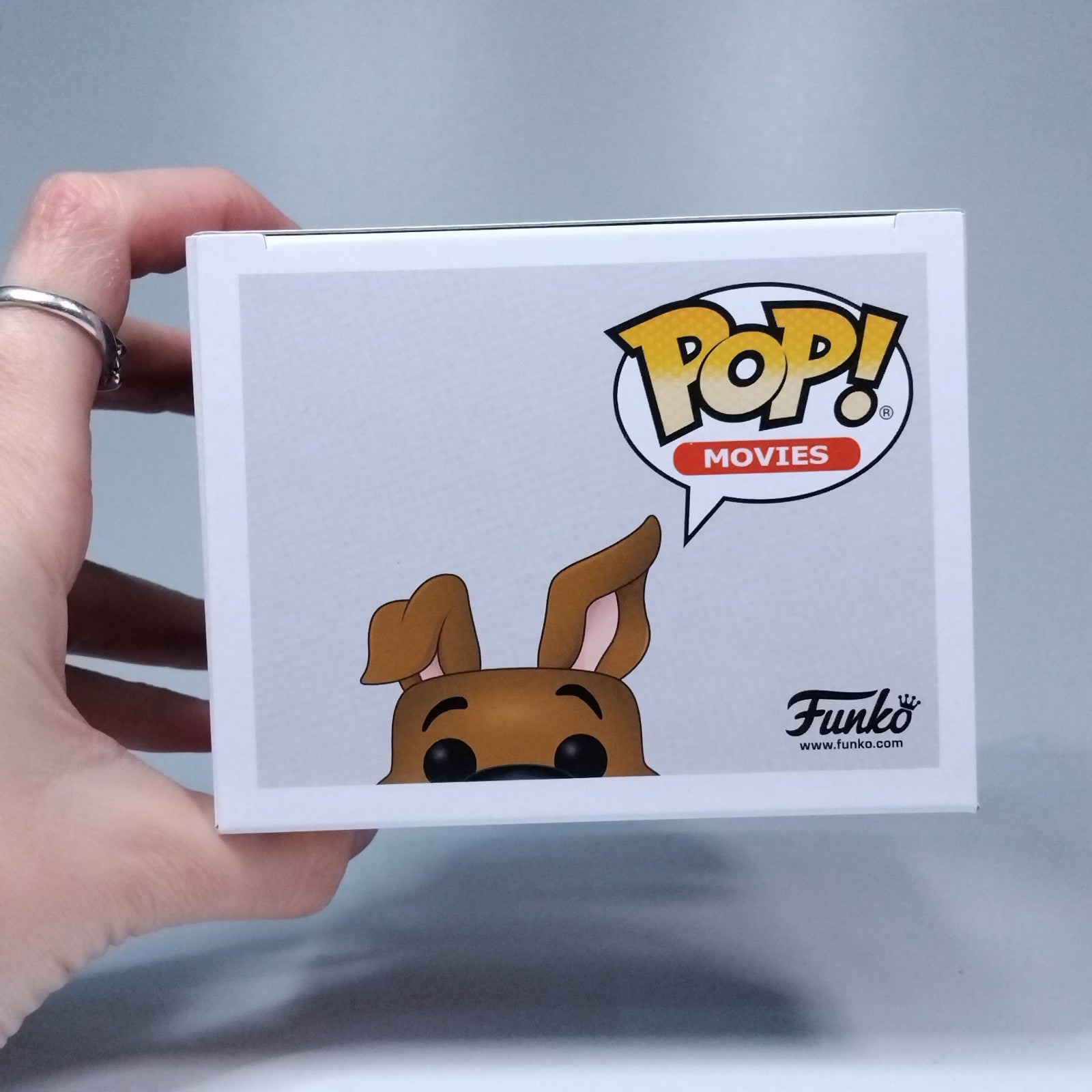 4042ca73-bc75-431e-ac8f-bcf41978f21b