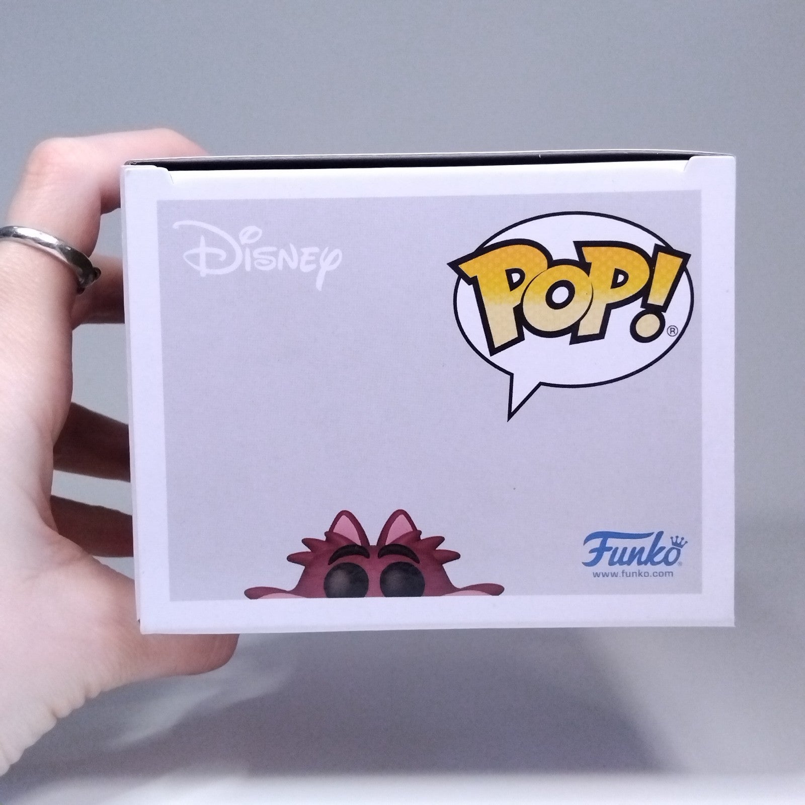 5bc35347-38a5-44c2-b930-ec1374580551