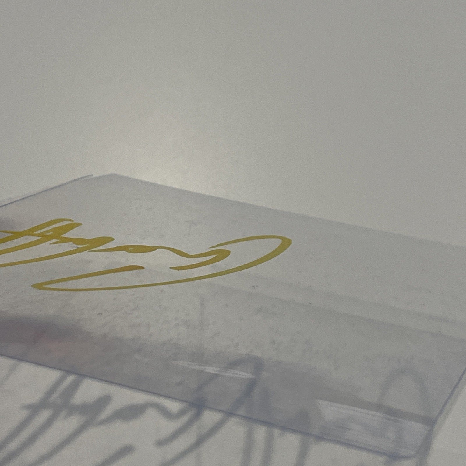 5499e2fe-5c1e-4d56-a58f-4a7edb21d8f5