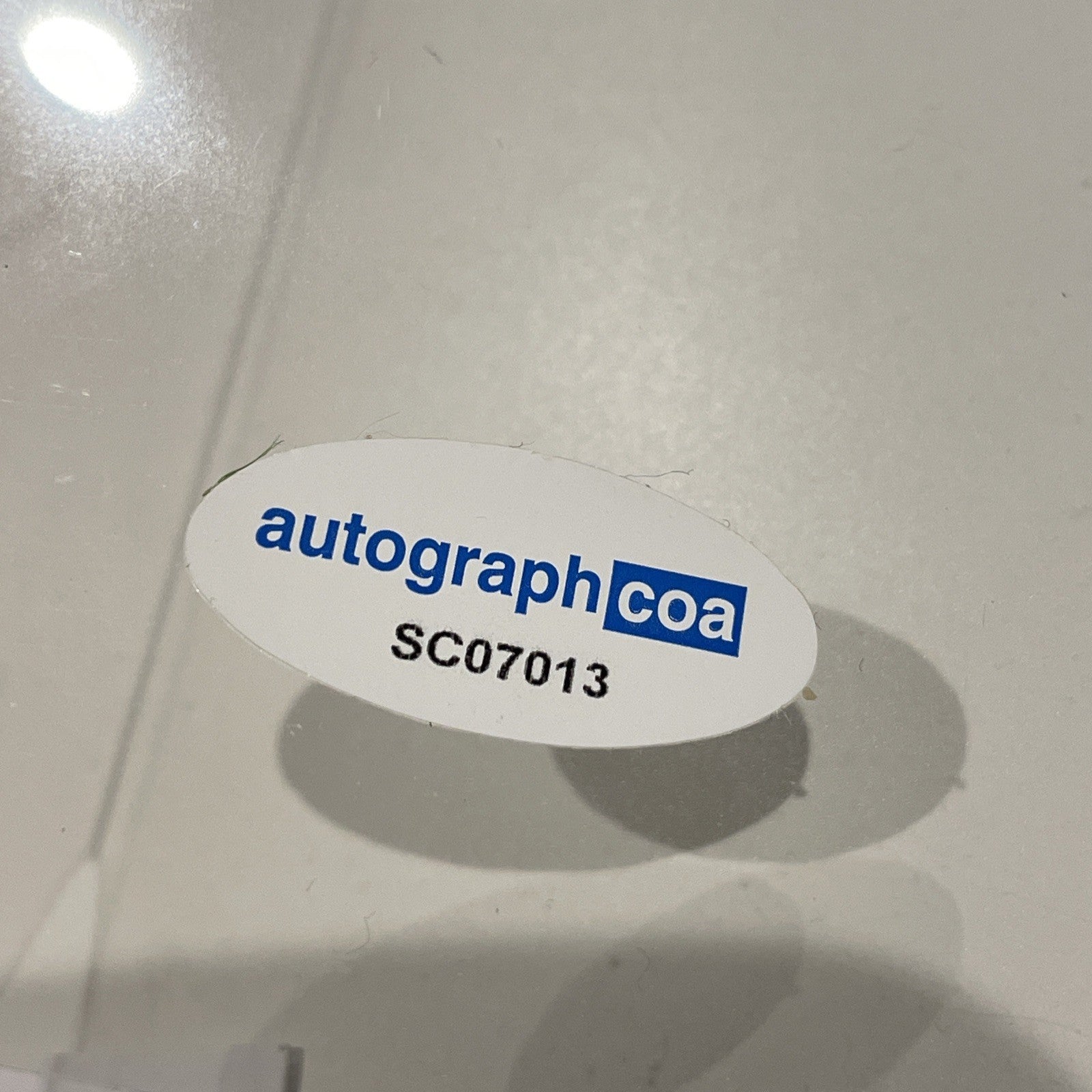 1141a106-fb09-4da8-a458-20de7cbcaca8