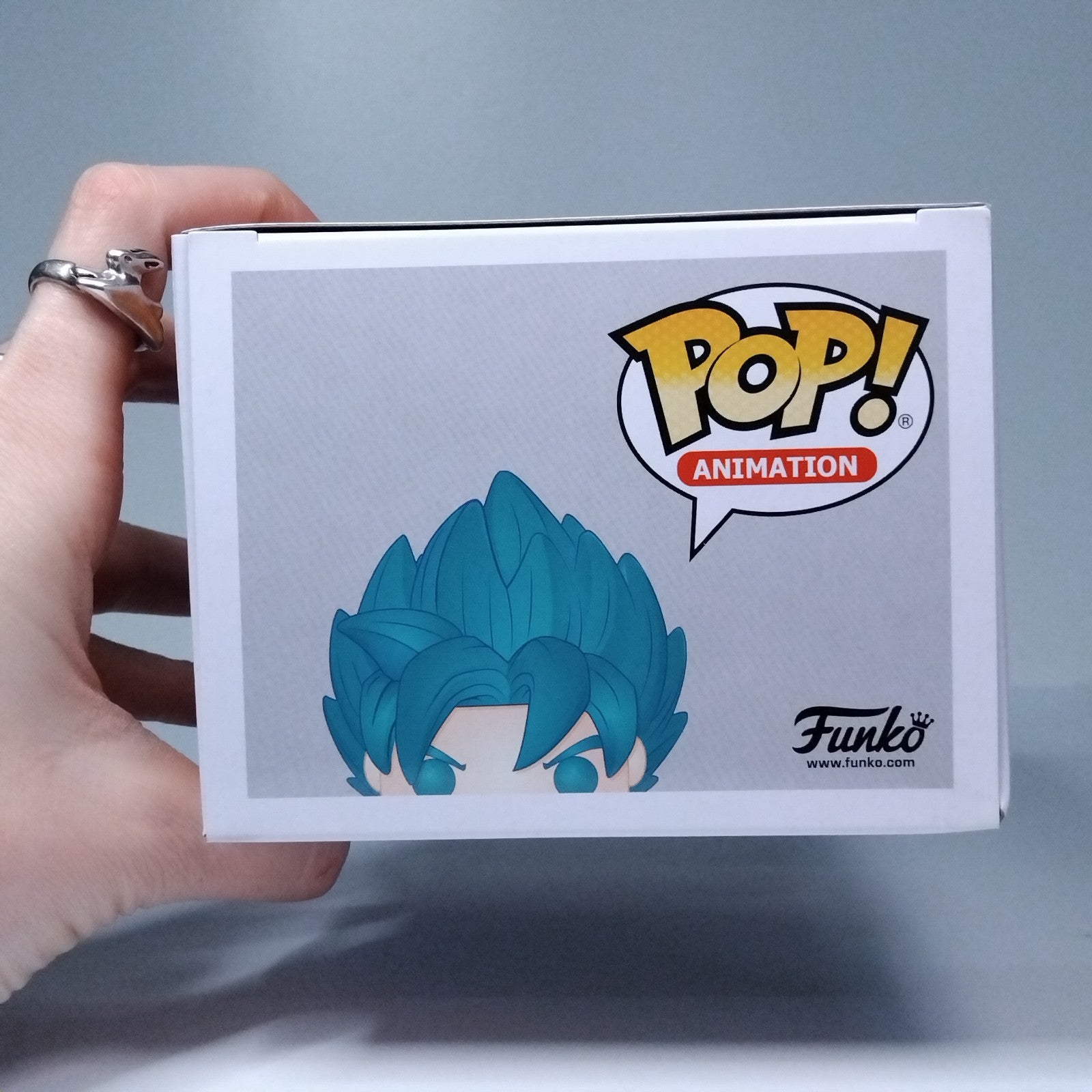 ae96ec81-1bdb-4744-9159-ee462a081edd