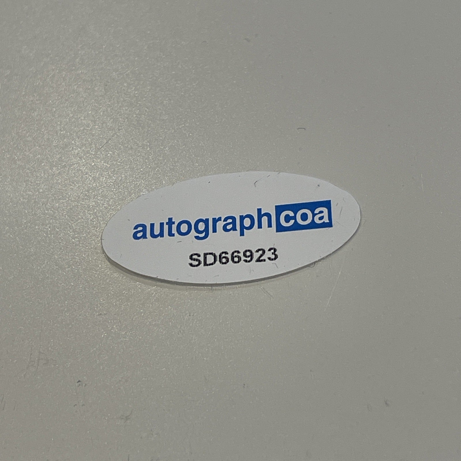 3e307f80-2356-482c-ba23-2a15784895dc