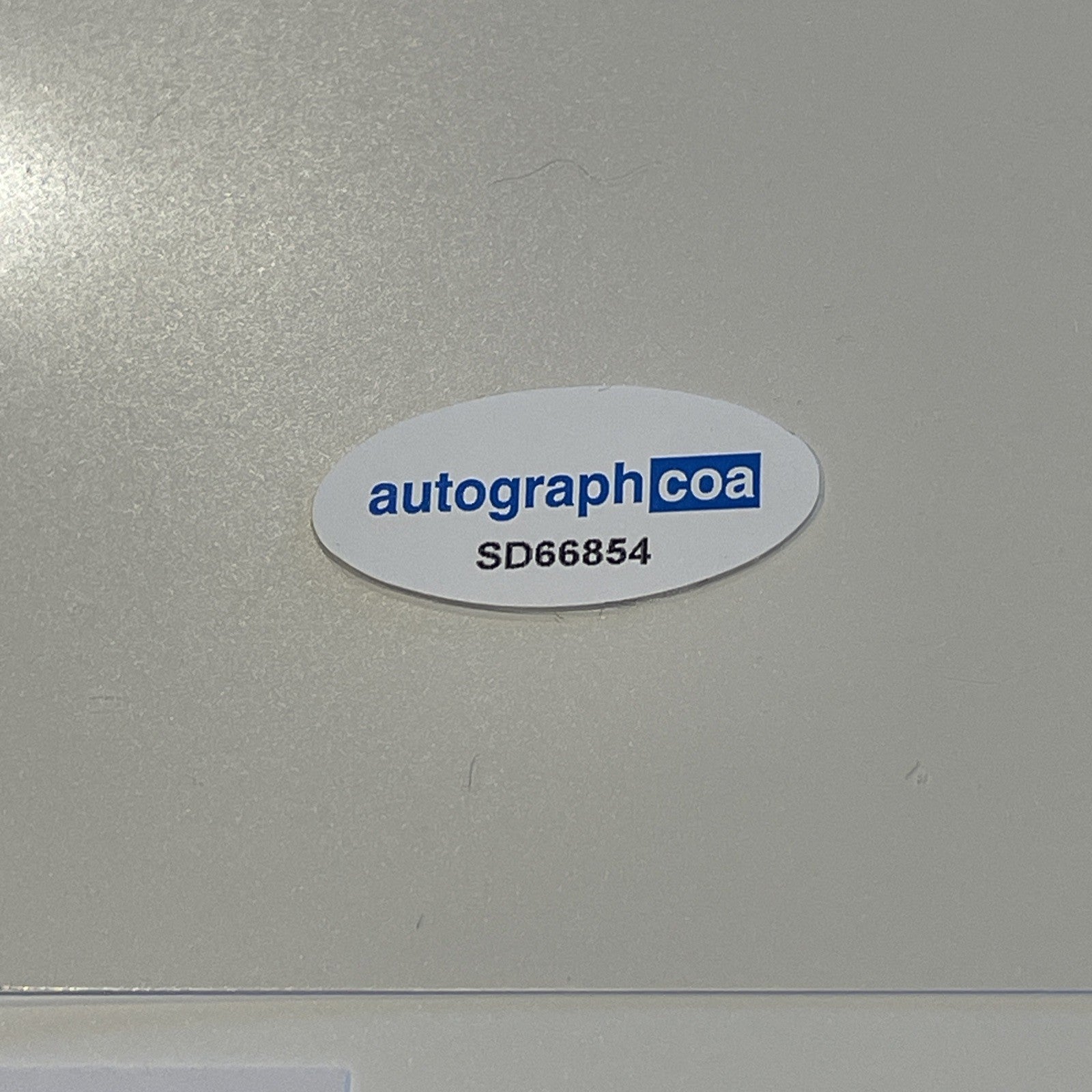 9a2e8184-ed0b-4bcb-94a9-fa16406f58a8