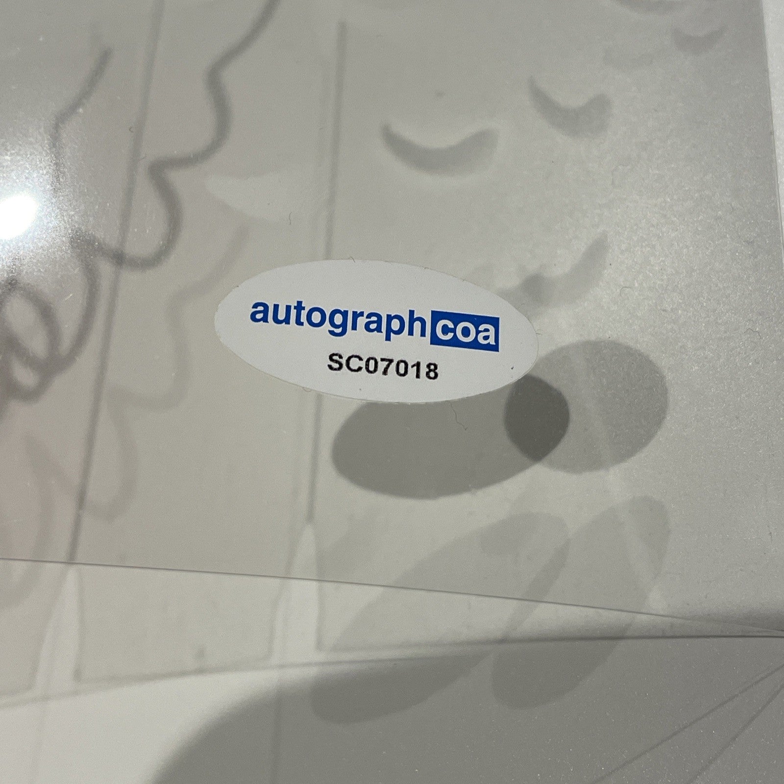 f0a6e5b7-54f4-4043-a5a5-8c96a3f8be15