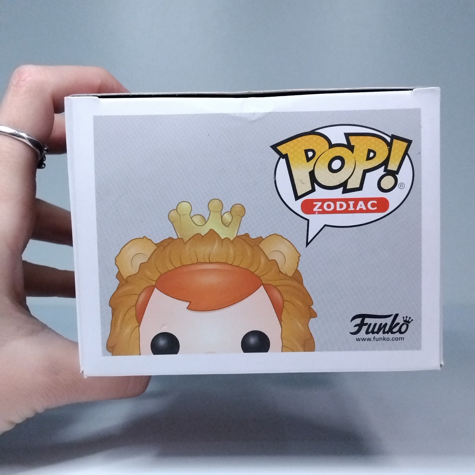 fe29bba1-0473-4f3e-aca4-a33fb4450316