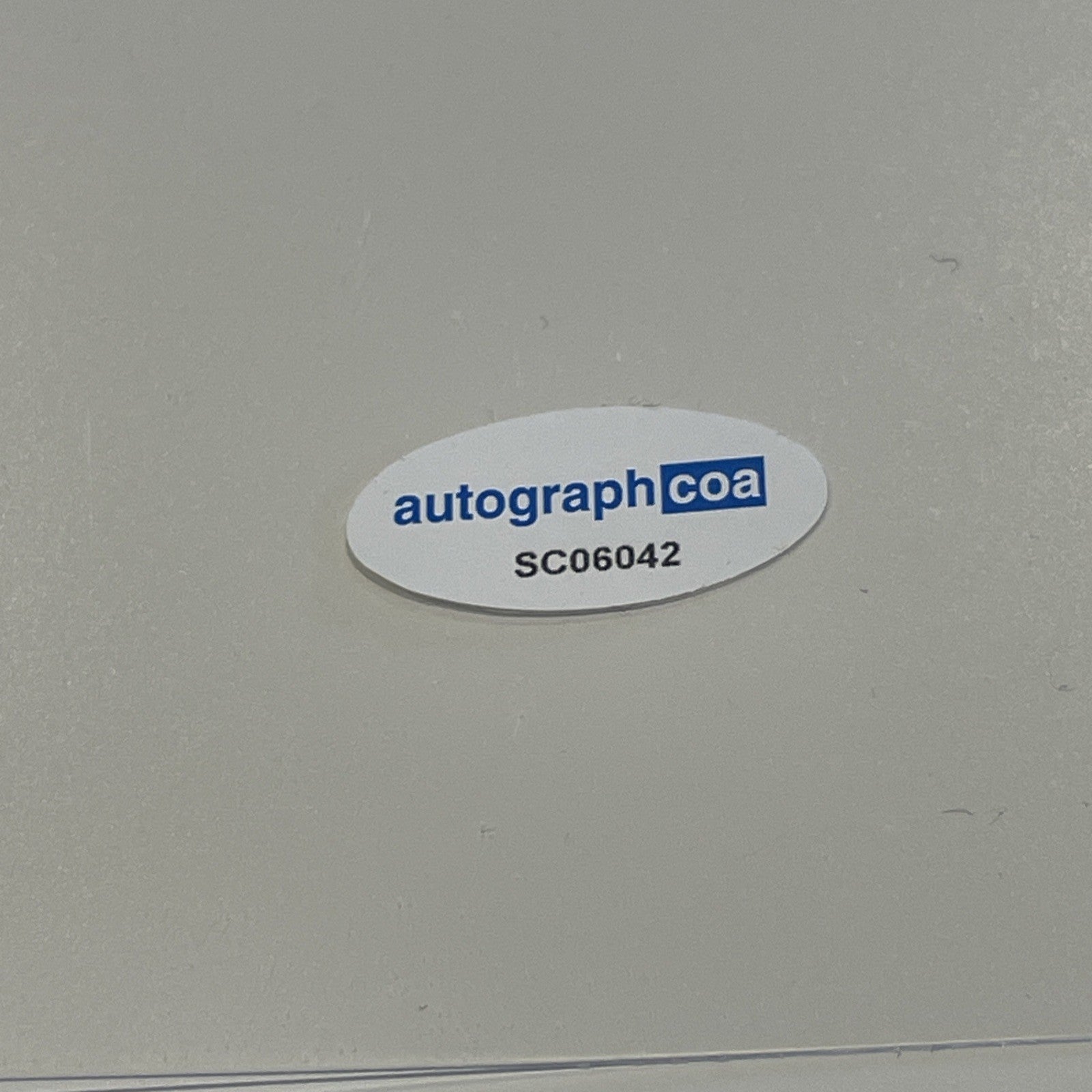 64d69089-bfb0-443a-93f5-05f63ded58b3