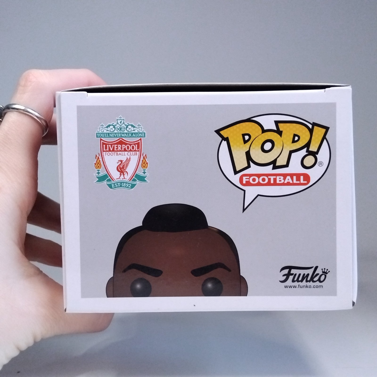 08d4bd95-ec46-4ffa-8db0-d0d1f39c3a75