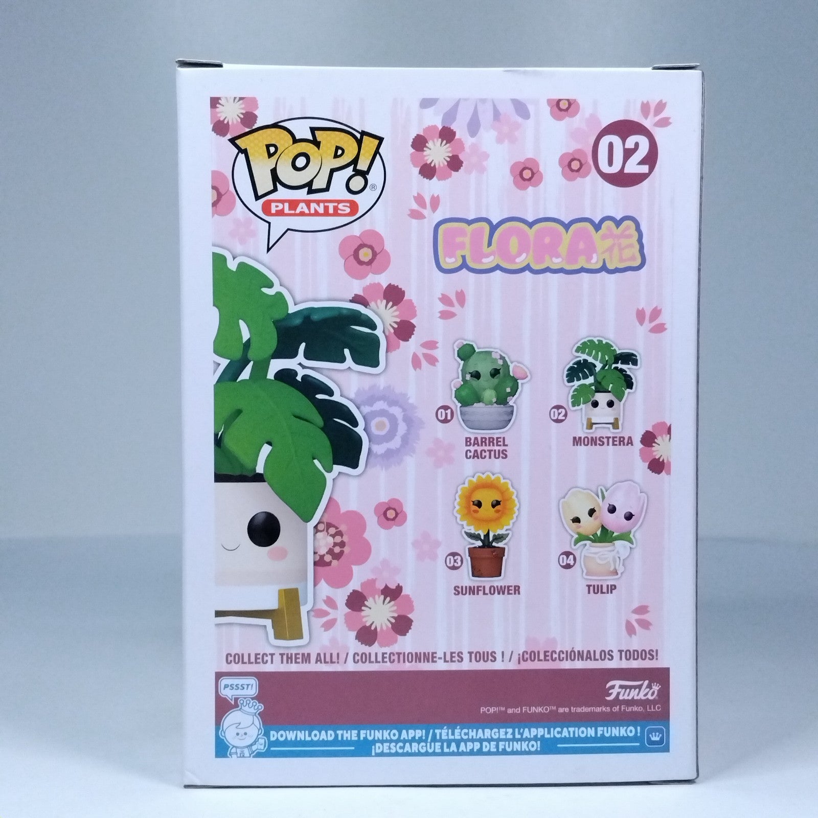 70458cc7-f298-4704-992a-0cff9fea781a