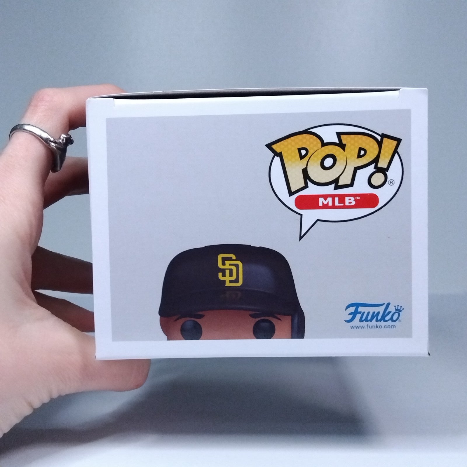 d171a81e-7e61-4255-a6fe-eda686706d79