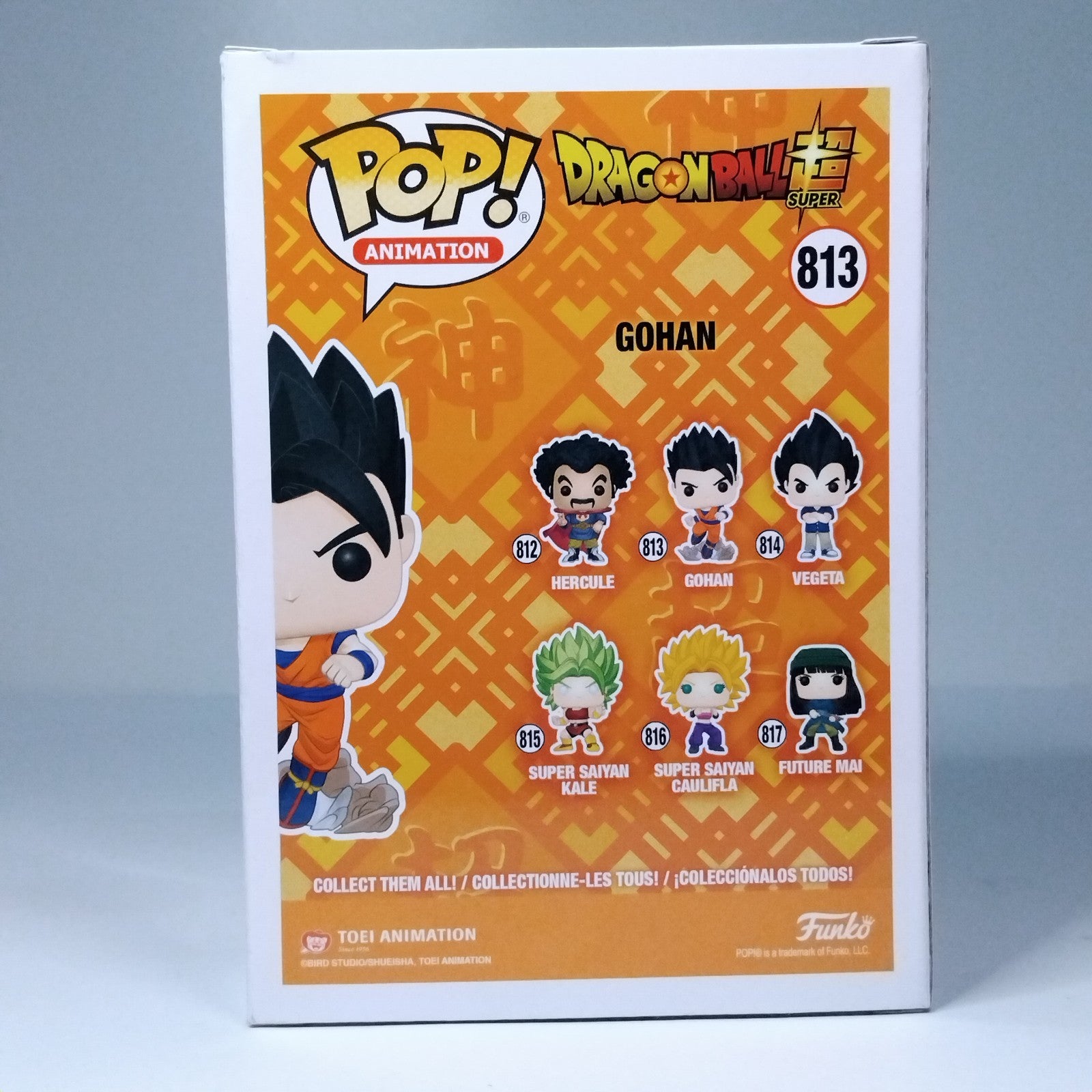 2446bd18-abaa-49f3-b435-a43f0bf2a456