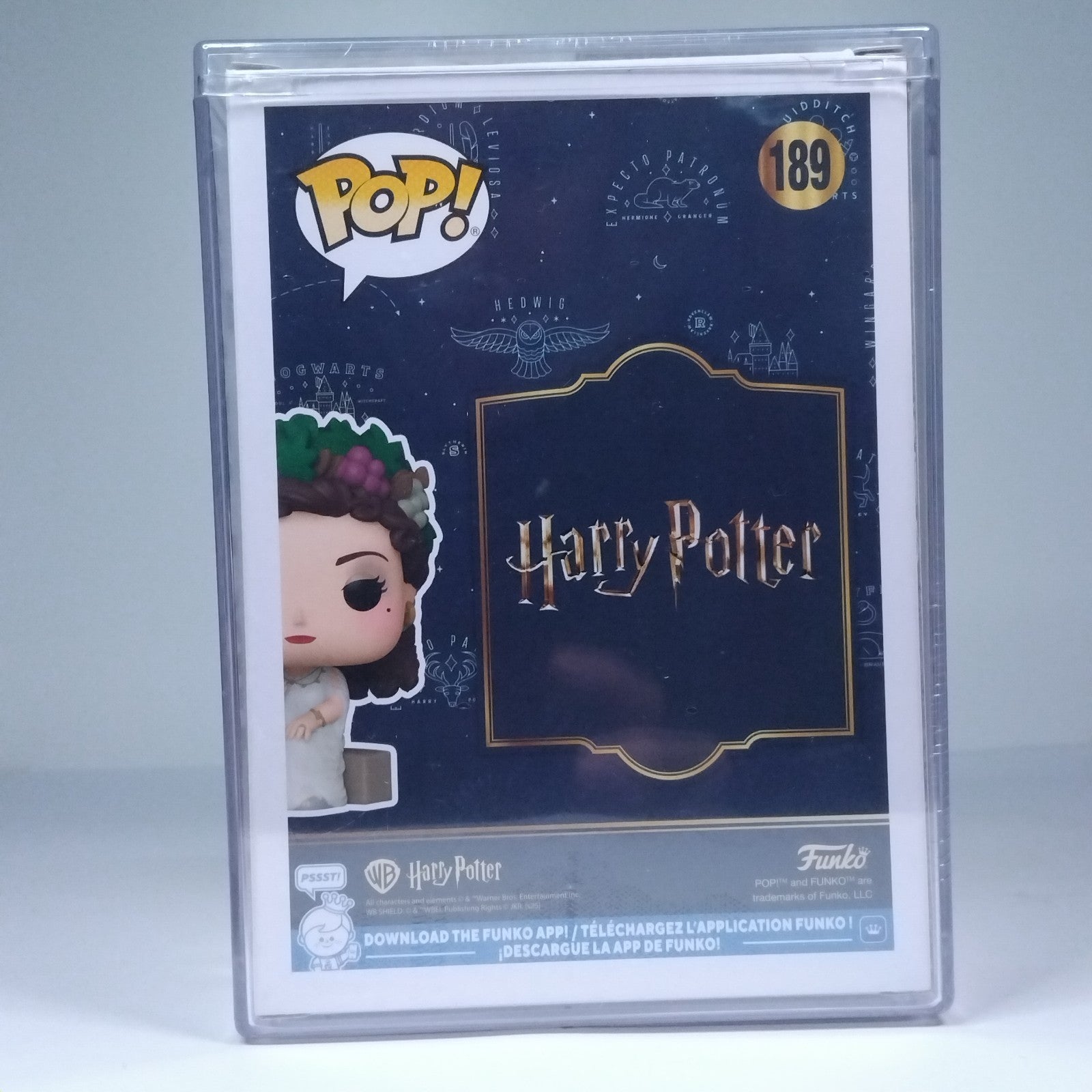 03a5f181-9797-4b27-87f6-25ac9f4fba14