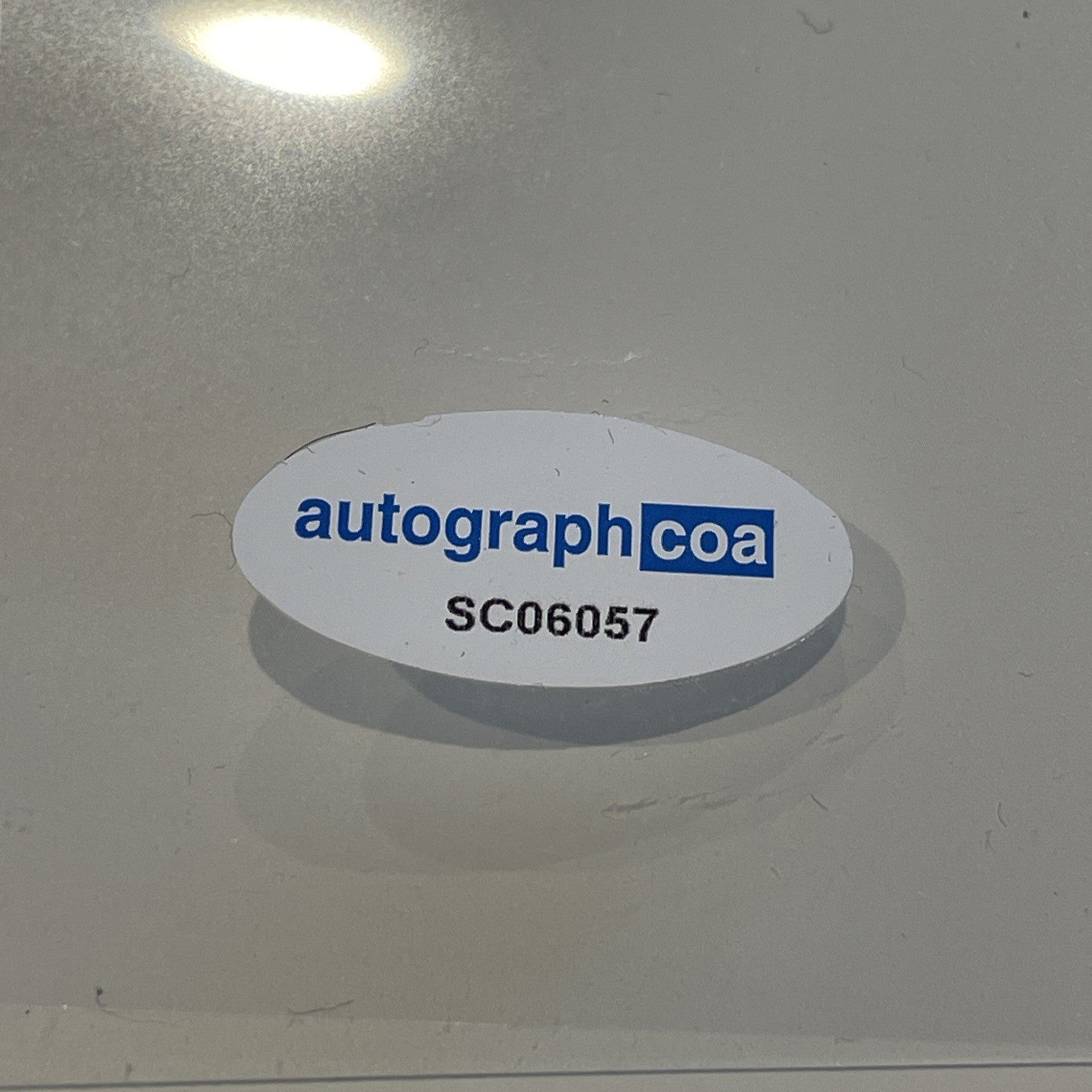 c8b1a979-541a-4b92-b45a-02cd317b19bc