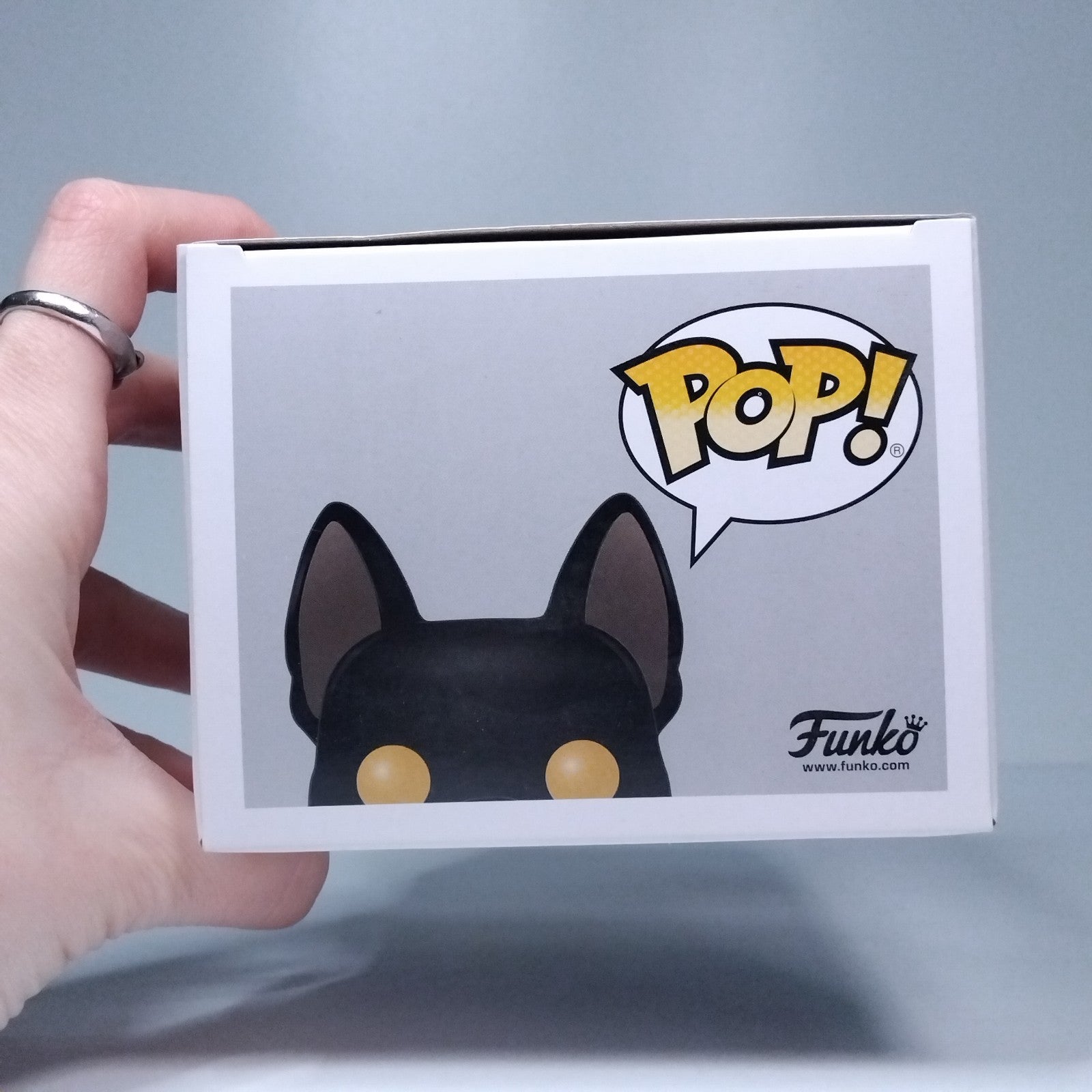 18d28377-74e3-43c6-a142-3096062384d1