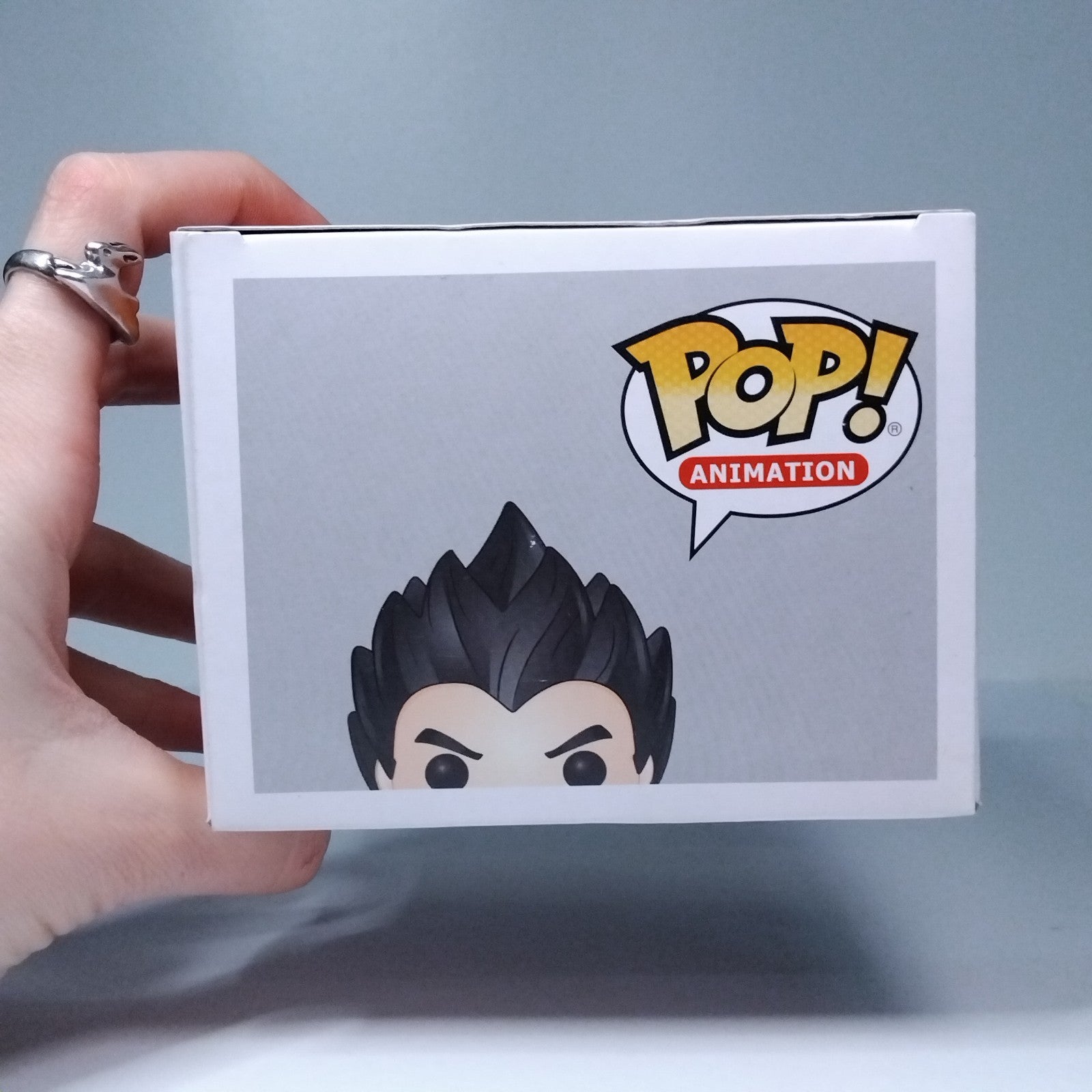 d6266468-449d-44c7-973b-d20eb0da79eb