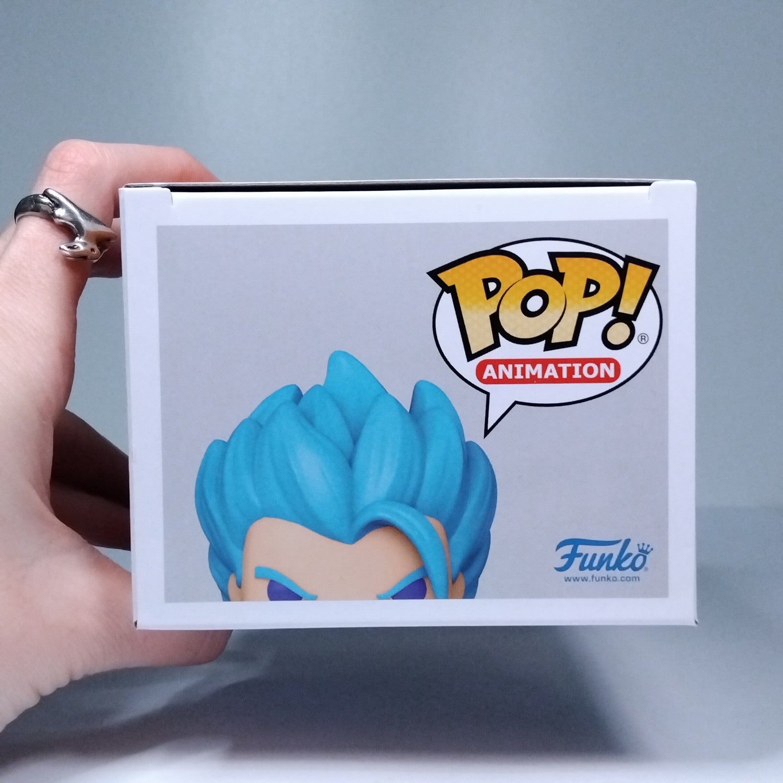 a9f70c32-2b36-43ee-9e75-15ce4dde14a0