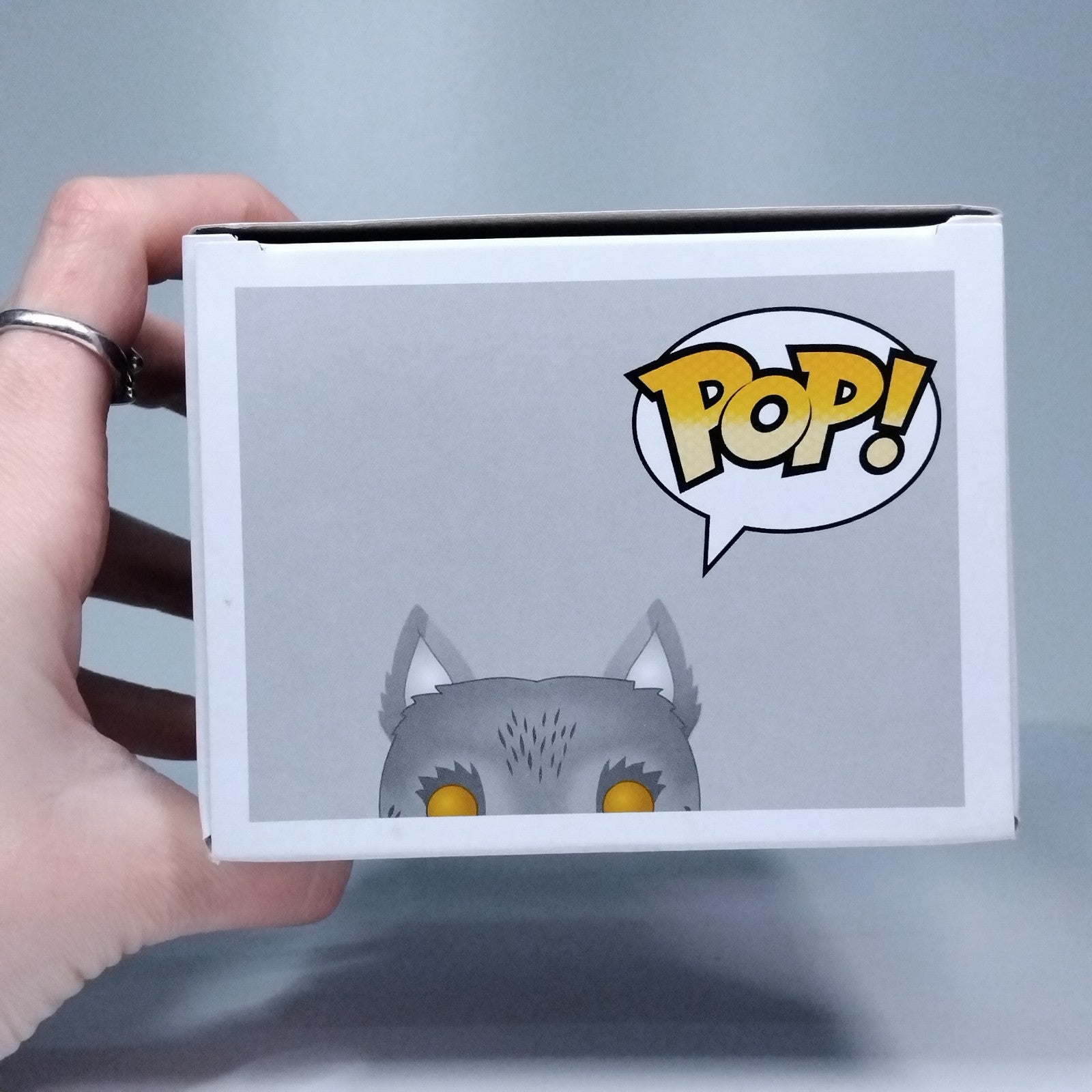 1931840b-baf7-4033-96e9-69141ed3e7ae