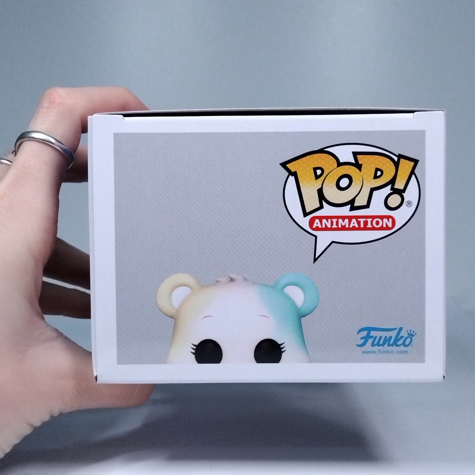 d537403f-a6fb-4b81-8fa2-984fdce2ccc4