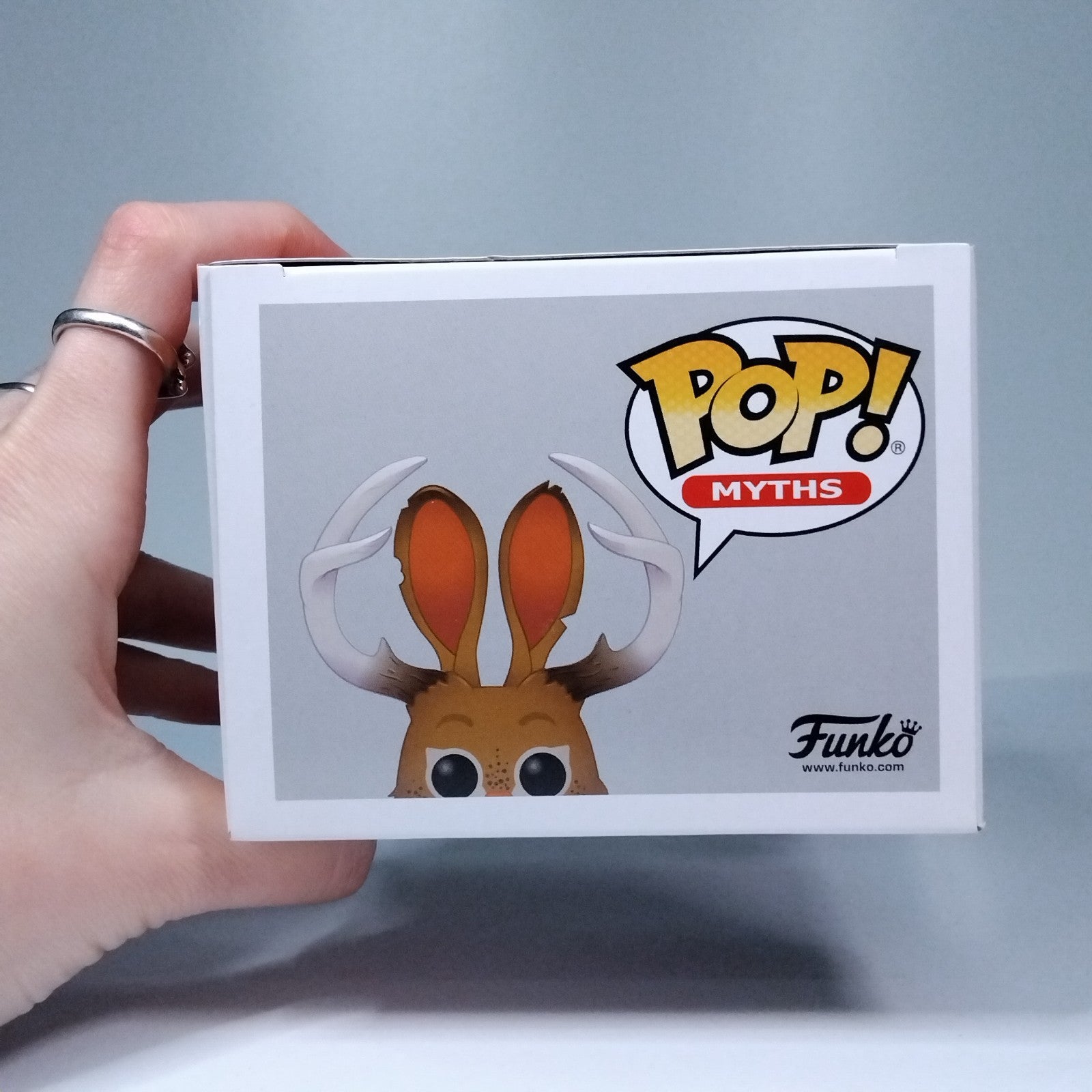 99a9495c-1b9c-41ec-a010-a71fcf5383fc