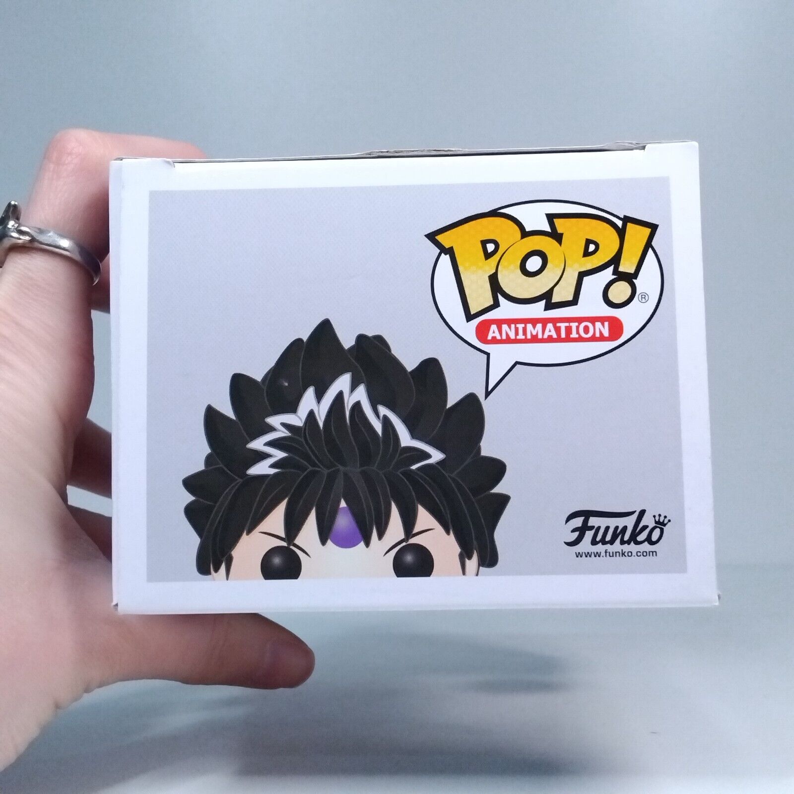 Funko Pop! Anime Yu Yu Hakushoi Ghost Files Hiei 25 Years of Fun #547